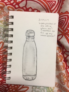 bottle-sketch